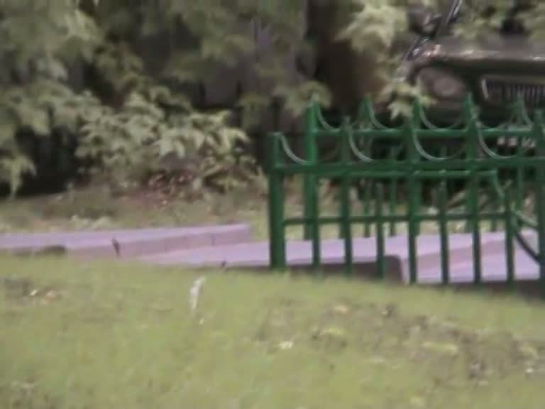 This is a silly footage of women pissing in the park