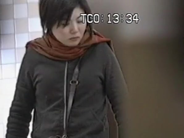 Chinese women spied in public toilet