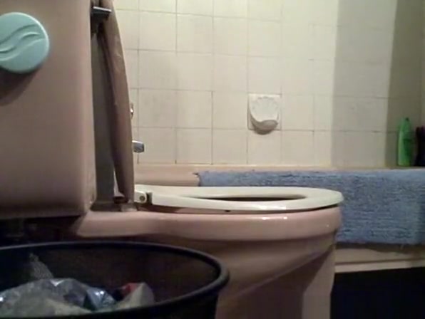 Girl lifts toilet seat and seats to take a pee