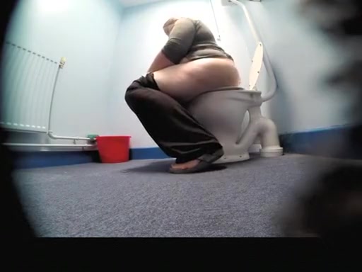 Rwo chubby women peeing in toilet