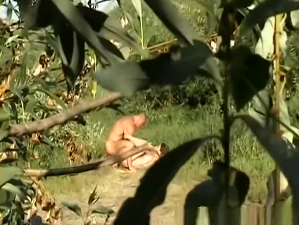 Naked dude lying down in the grass has his cock blown