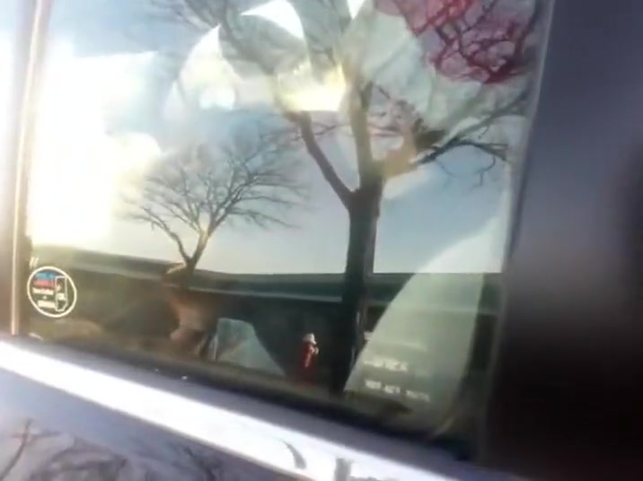 Blowjob in a parked car got spotted