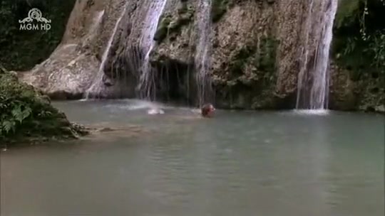 Skinny dipping girls in a sexy Hollywood movie