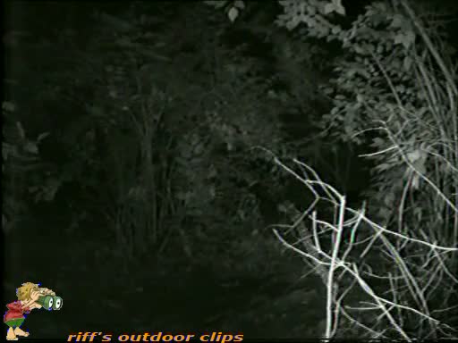 A sexy teen hides in the bushes while pissing voyeur cam
