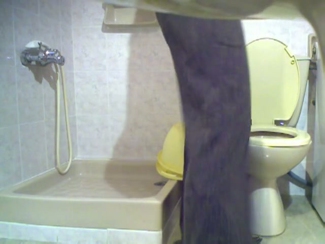 Toilet voyeur brings naughty view of a gilr's pussy