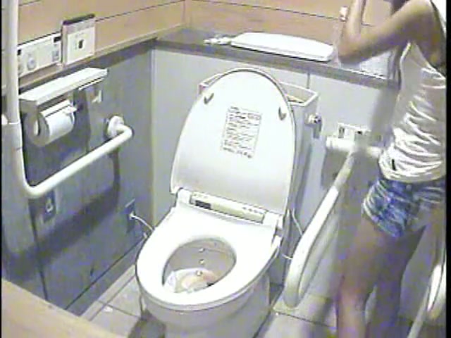 A number of women pissing in toilet on horny video