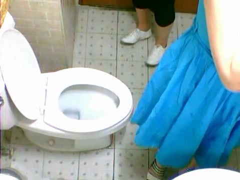 Two pretty Asian friends are pissing on toilet in caf&#233;